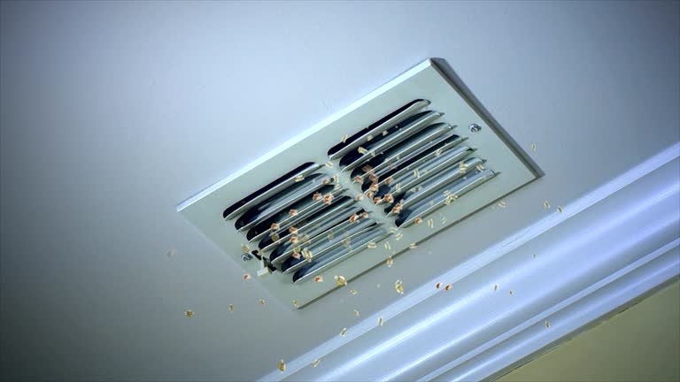Best HVAC Duct Inspection Services  in Glasco, NY